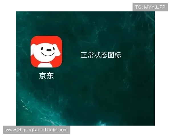 九游体育app下载渠道更新与维护指南,帮助用户及时获取最新版本确保软件稳定运行